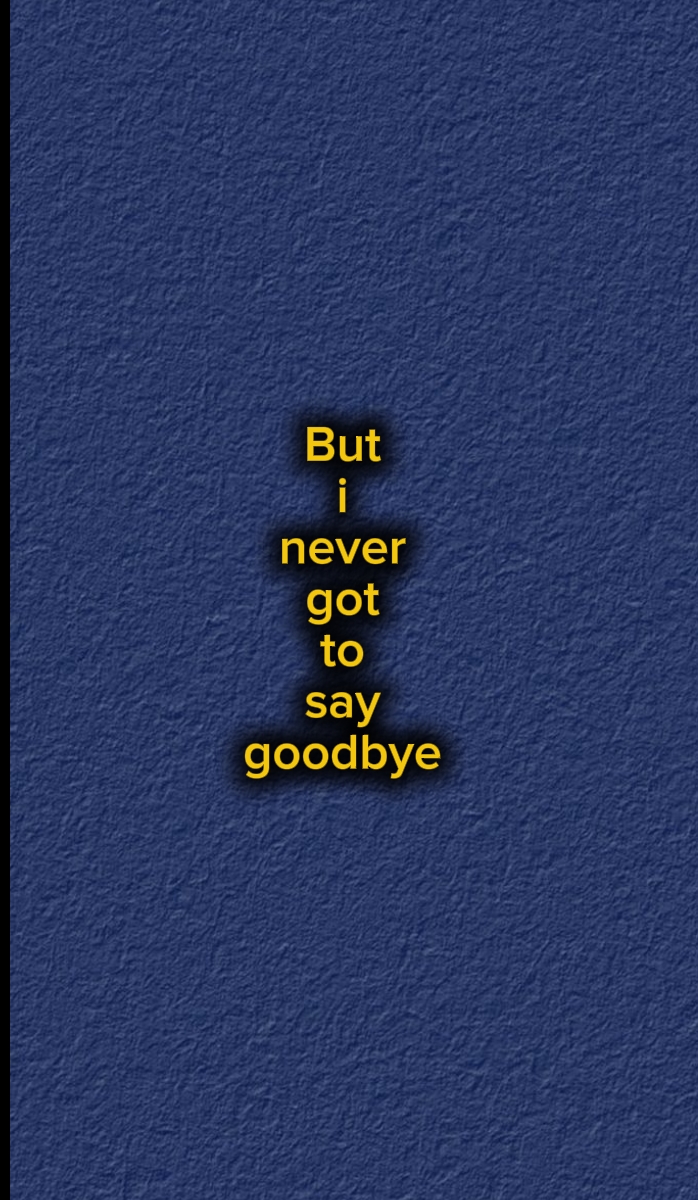 Je dois dire au revoir