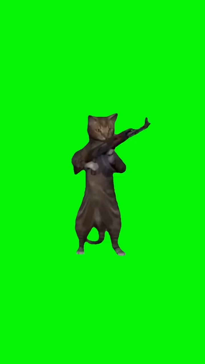 Chat font vert 