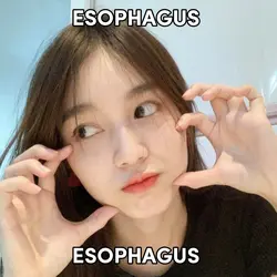 ESOPHAGUS ESOPHAGUS 
