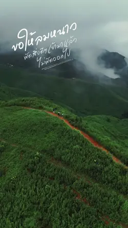 ขอให้ลมหนาวพัดสิ่งดีๆ