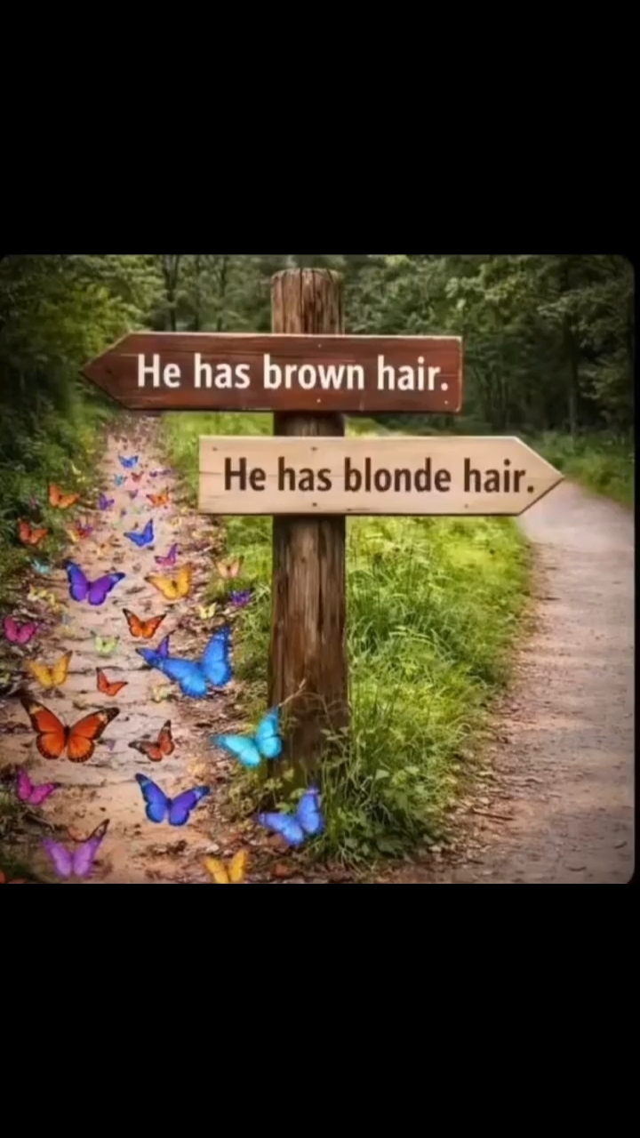 il a les cheveux bruns 