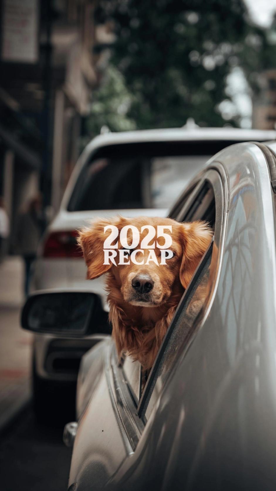 100 + 2025 Resumen