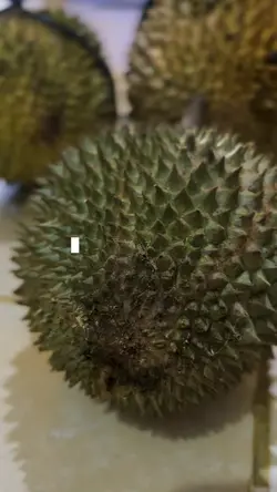 Buah Durian