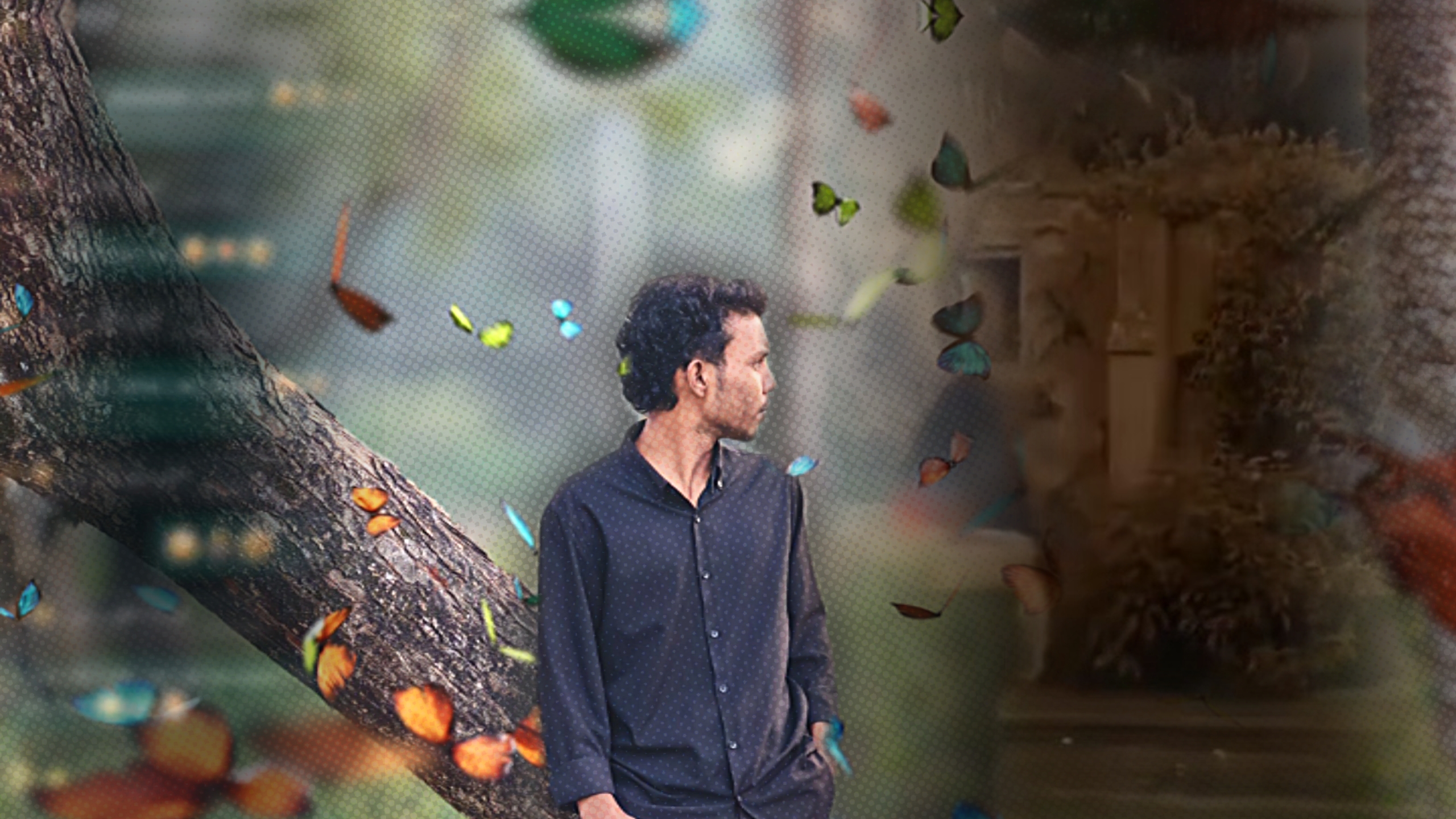 Cover Picture