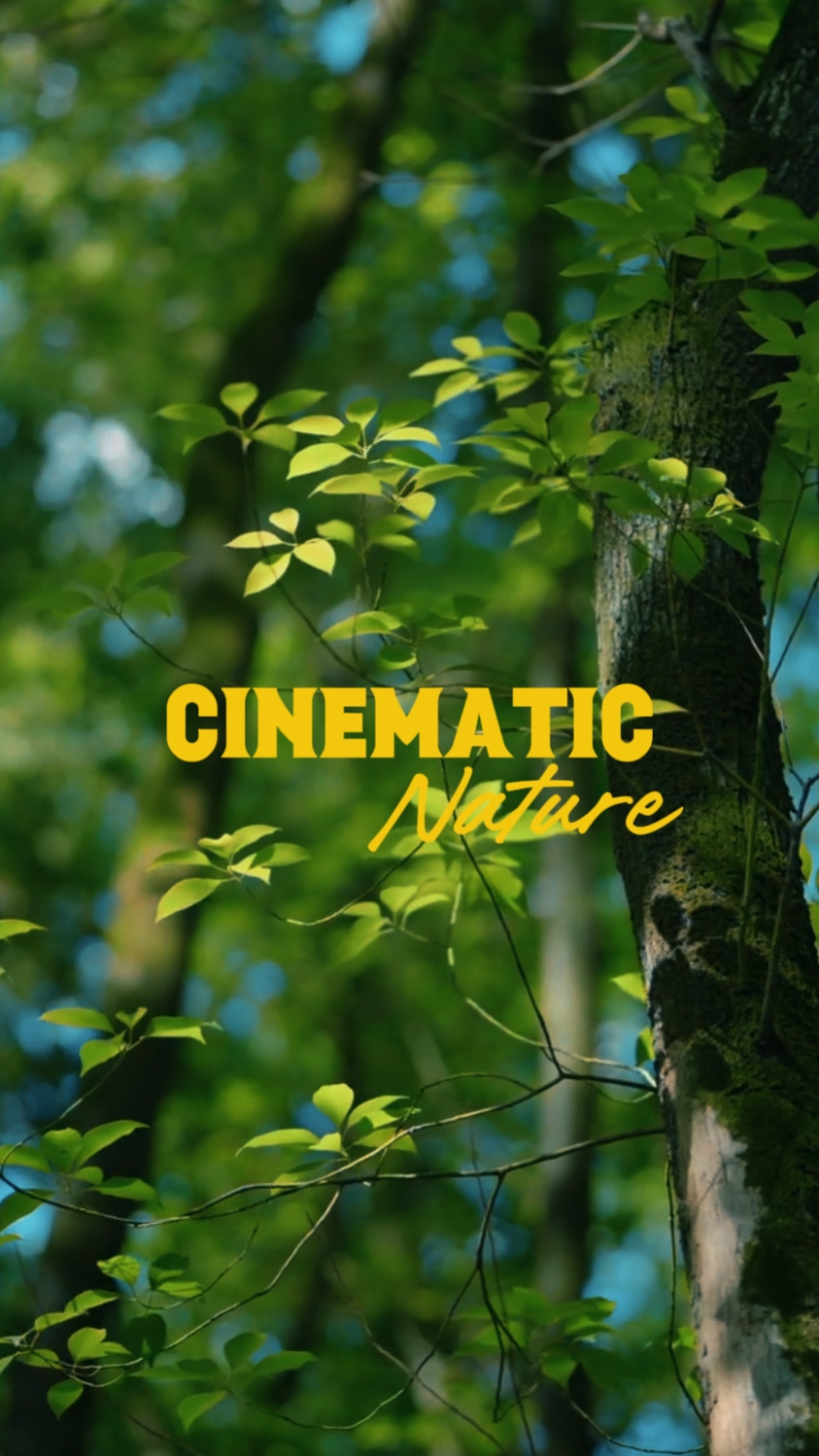 Cinematic Nature