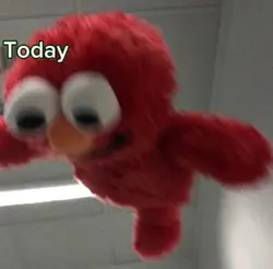 today nobody wished 