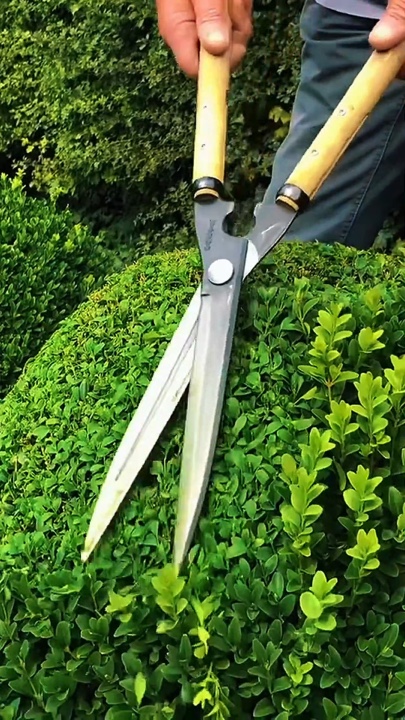 Gardening