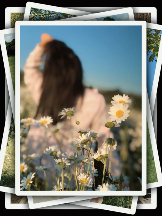8Pic Clip Transition