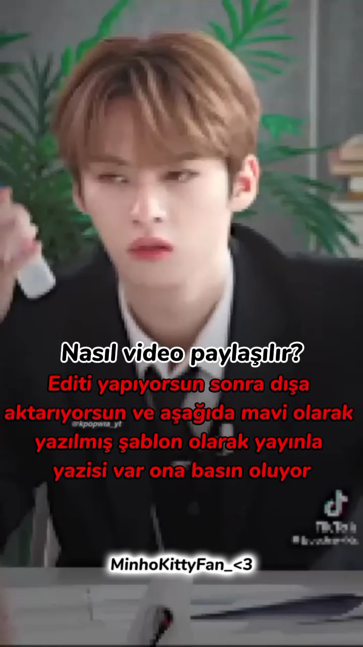 Nasıl video atılır?
