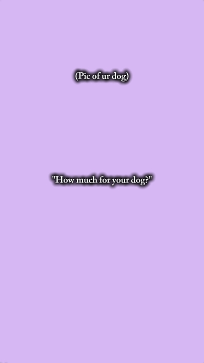 Foto de tu perro