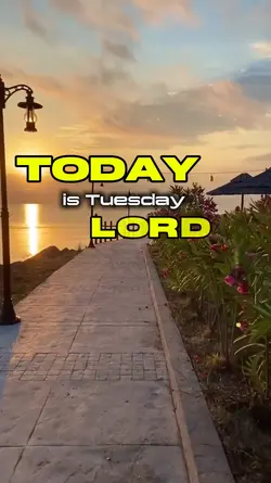today is Tuesday 