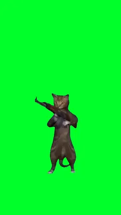 cat shooting gun