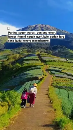 paringi seger waras