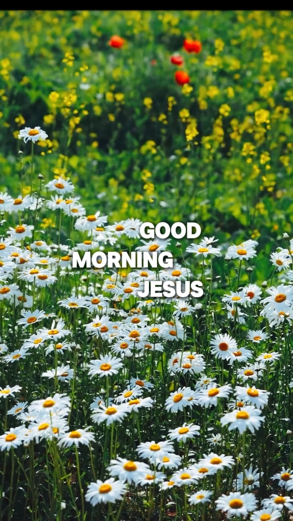 Buenos días Jesús