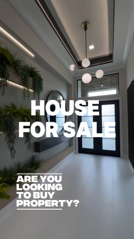 Immobilier 