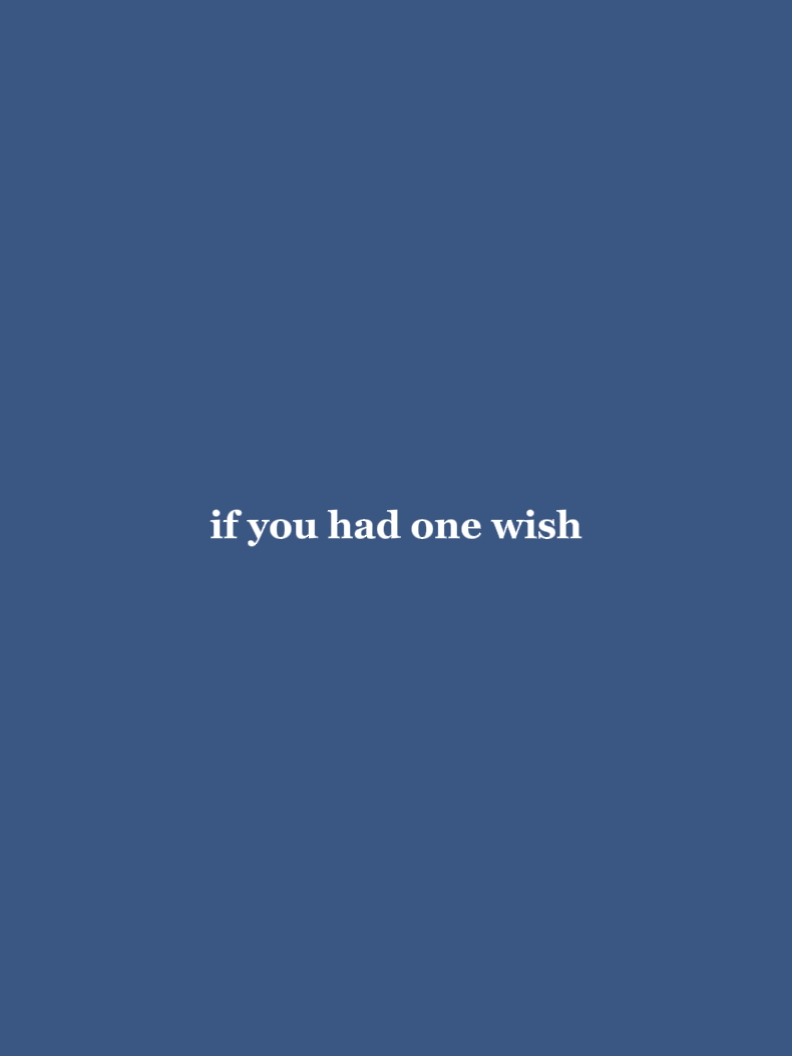 one wish