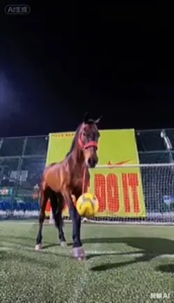 Horse Dribble