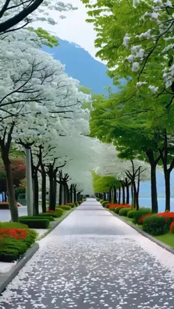 القرآن الكريم 