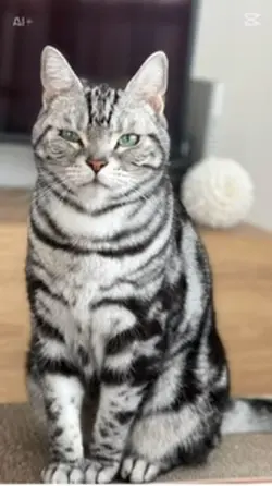 かっこいいでしょ😼