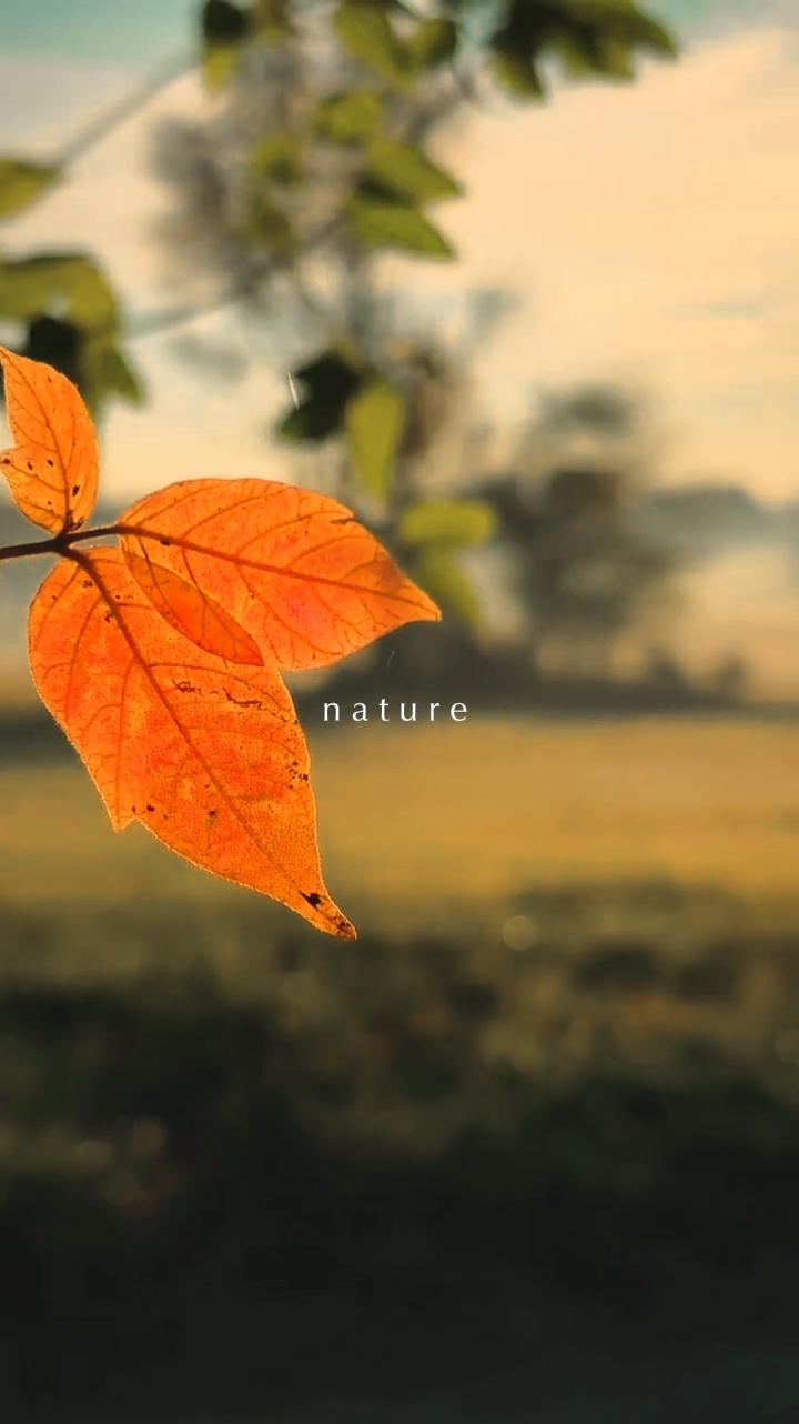 NATUR