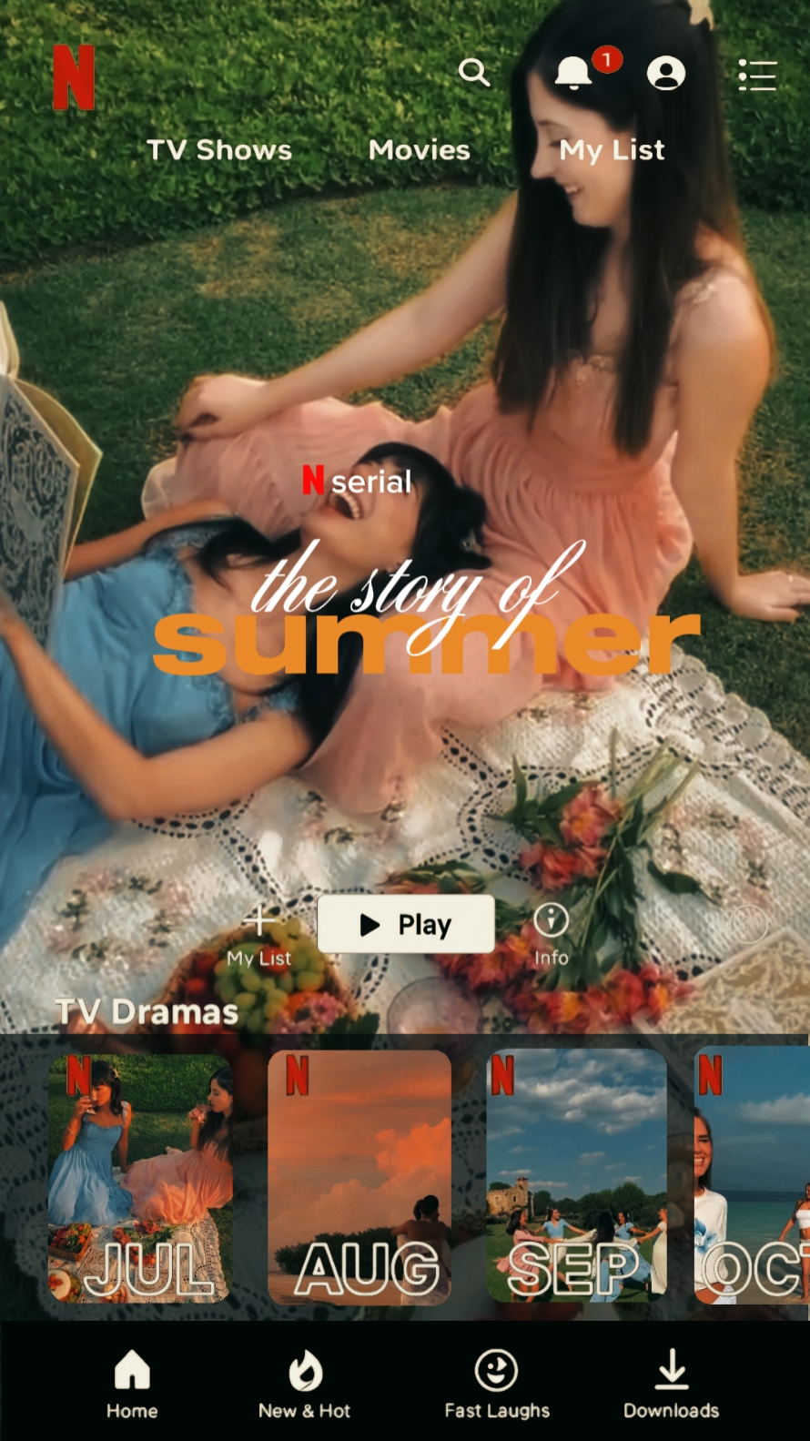 Verano de la historia de Netflix