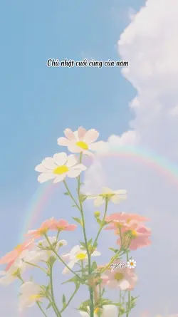 Chủ nhật cuối cùng 