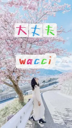 大丈夫/wacci