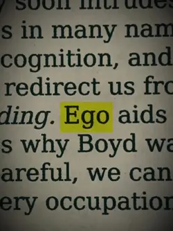 Ego Newspaper V3