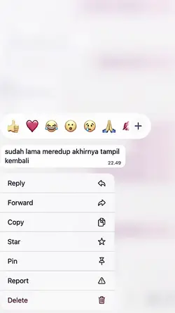 Sudah Lama Meredup
