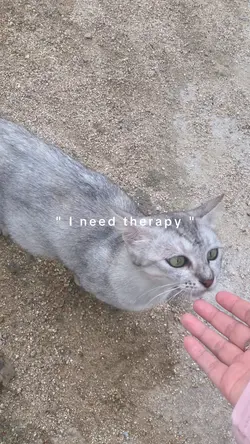 random video