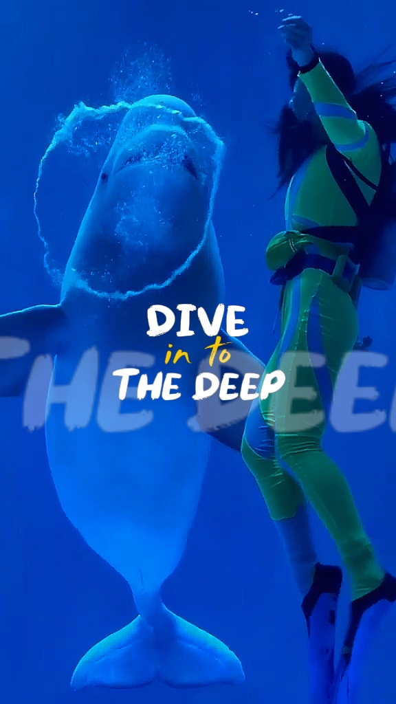 Dive in to the Deep
