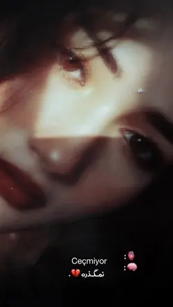 Turkish trend نمیگذر