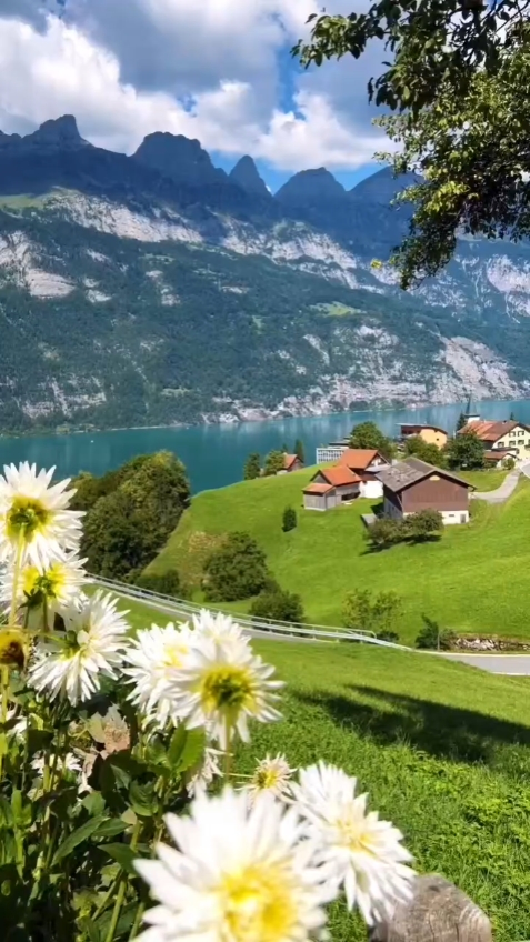 Superbe Suisse