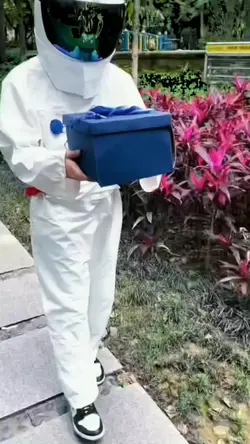 viral tik tok 