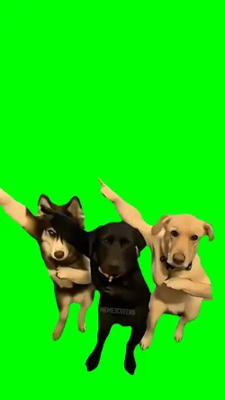 DANCING DOG MEME