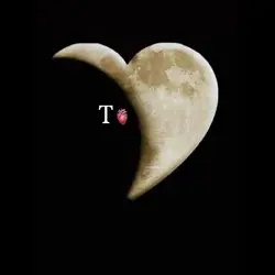 Letter T