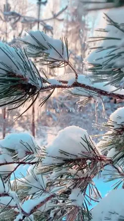 Winter vibes