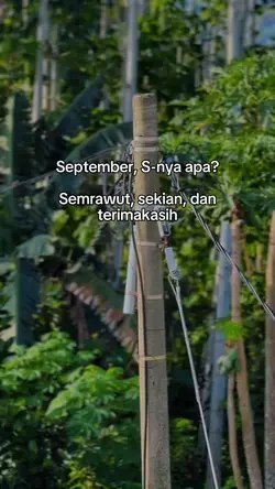 september semrawut
