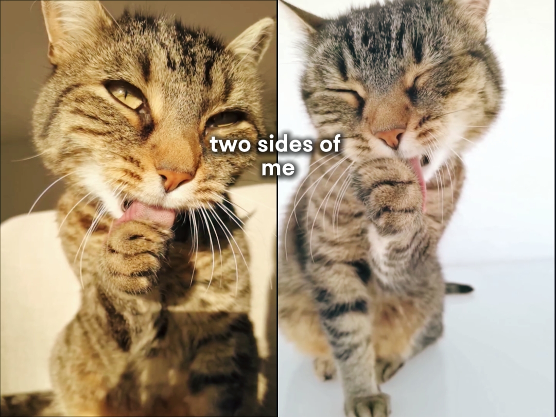 Dos lados de mi