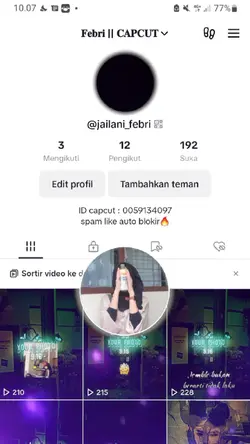 versi tiktok