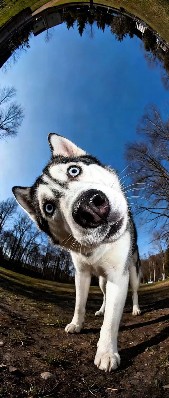Fondo de pantalla 3D