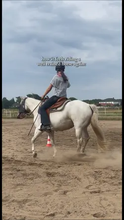 safe horse 🥹💘❣️