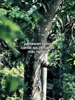 STORY MALAM