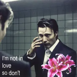 I'm not in love 
