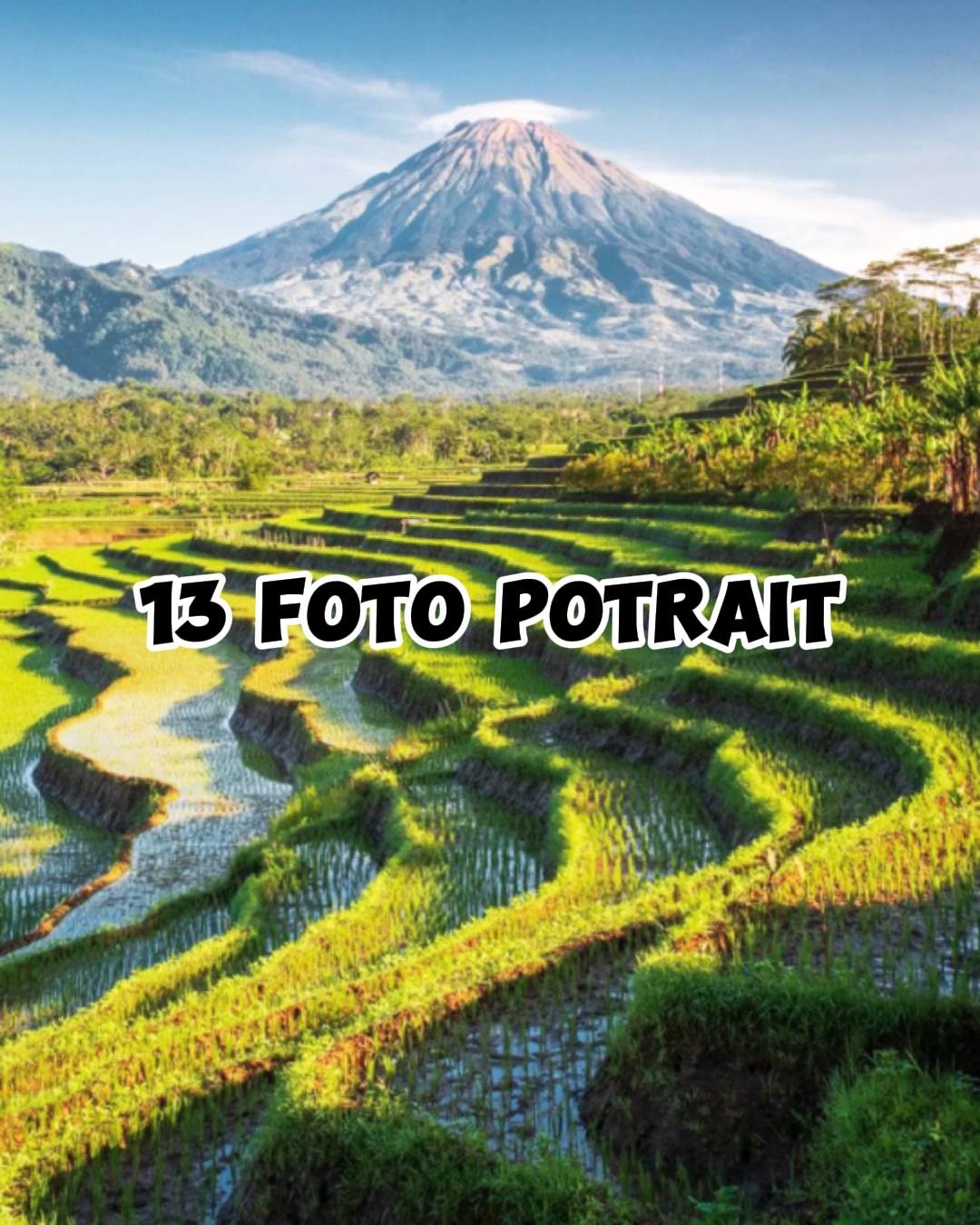 13 foto potre