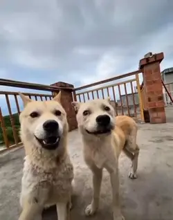 🤪💕