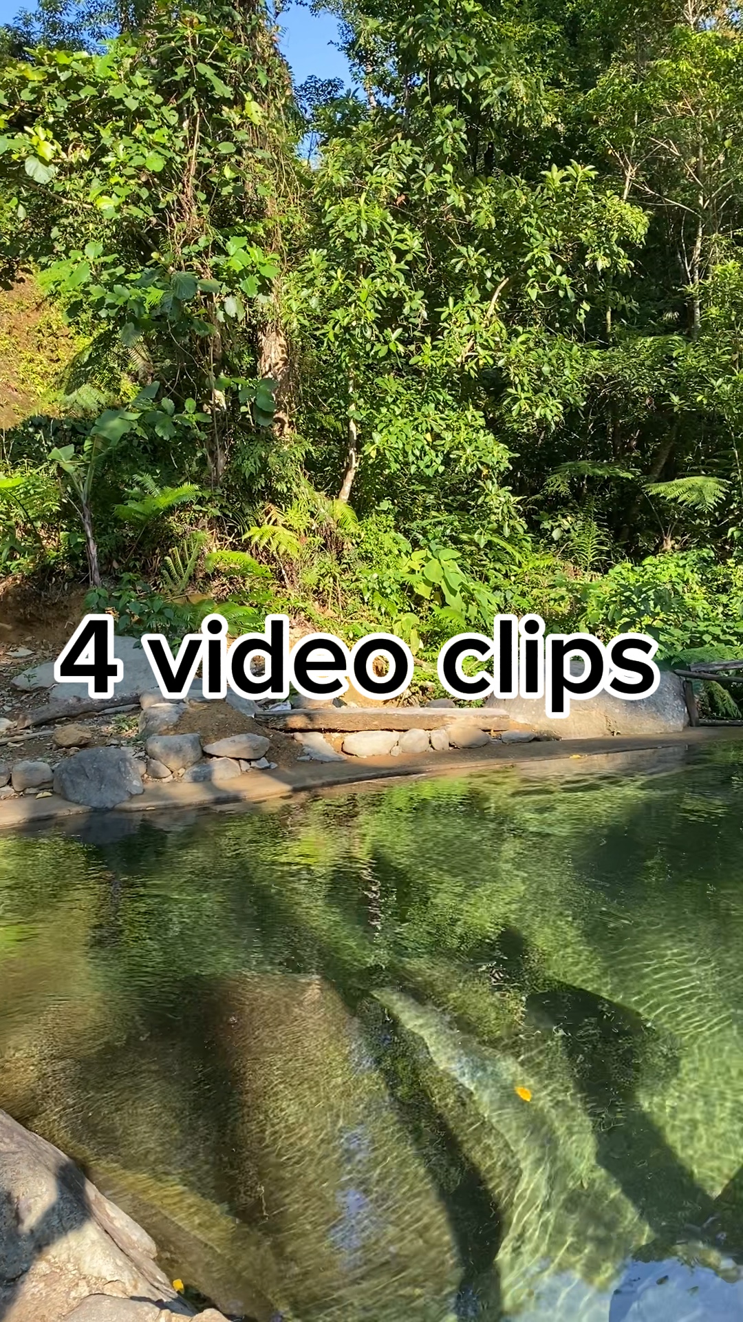#natureblogs #vlog 