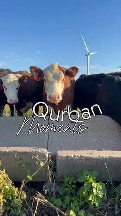 Qurban momen 
