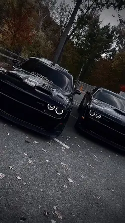 CAR ✖️2CLIP 🔝