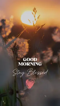 Stay Blessed ❤️